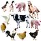 ASF रोगग्रस्त सुअर चिकन अपशिष्ट पुनर्चक्रण संयंत्र हानिरहित निपटान उच्च कुशल